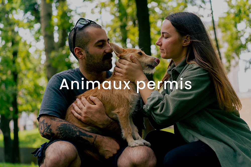 logements_animaux_permis_havena-2.jpg